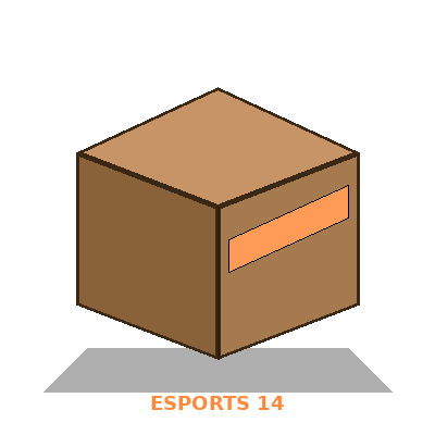 CAISSE ESPORTS 2014 SUMMER