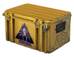 CAISSE SHATTERED WEB